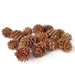 salignum-toboz-natur-hobbykreativ