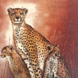 dekorszalveta-leopard-cslad-hobbykreativ