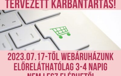 WEBÁRUHÁZ KARBANTARTÁS, SZABADSÁG