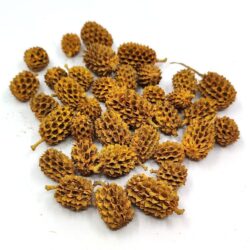 casuarina-szaritott-termes-vintage-narancs-hobbykreativ