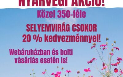 NYÁRVÉGI AKCIÓ – SELYEMVIRÁG CSOKROK