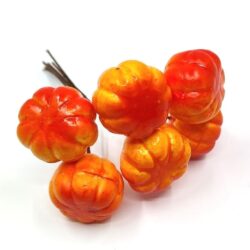polifoam-disztok-drotszaron-kerek-formaju-pirosas-narancs-550377-hobbykreativ