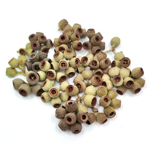 eukaliptusz-termes-furtok-natur-zold-barna-hobbykreativ