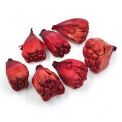 rosella-szaritott-termes-voros-hobbykreativ