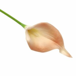 Élethű PU kála virág púder-rózsaszín 1 szál