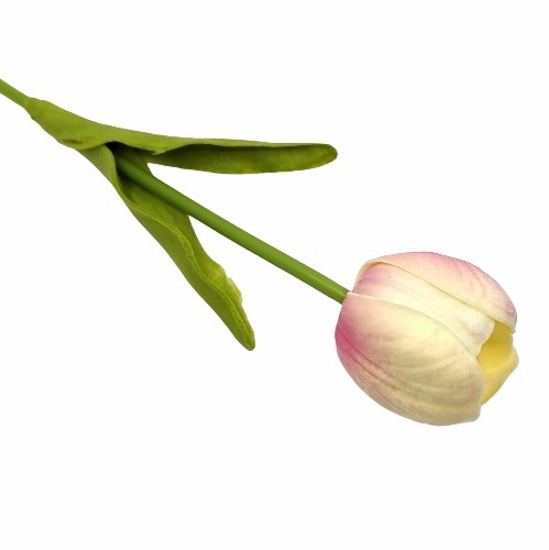 elethu-pu-nyilt-tulipan-szal-krem-rozsaszin-gd2311340-hobbykreativ