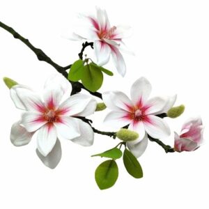 Többfelé ágazó élethű magnólia művirág fehér-rózsaszín 1 ág