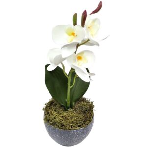 Orchideás asztaldísz kaspóban DIY alkotócsomag