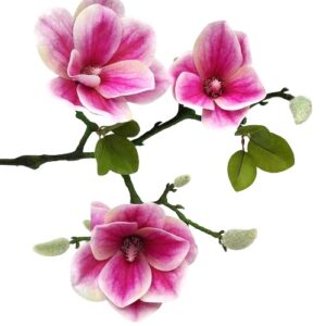 Élethű magnólia művirág ág nagy virágokkal rózsaszín 1 ág