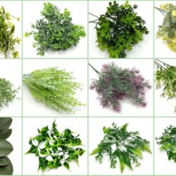 Anyák napi zöldek, díszítők