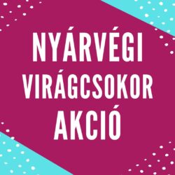 VIRÁGCSOKOR NYÁRVÉGI AKCIÓ