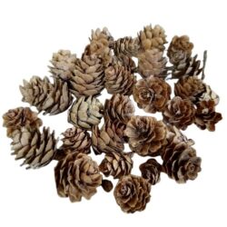 vorosfenyo-toboz-kinai-natur-hobbykreativ