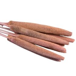 babala-szaritott-noveny-csokor-rozsaszin-1-koteg-10-szal-hobbykreativ