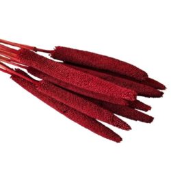 babala-szaritott-noveny-csokor-sotet-piros-1-koteg-10-szal-hobbykreativ