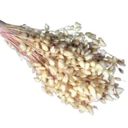 briza-szaritott-rezgofu-csokor-natur-hobbykreativ