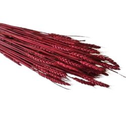 buza-szaritott-noveny-csokor-bordo-150-gr-hobbykreativ
