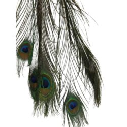 pavatoll-100-cm-meretben-2-db-hobbykreativ