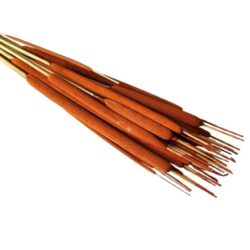 typha-gyekeny-indiai-narancs-1-koteg-hobbykreativ
