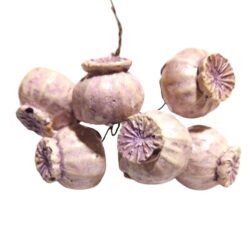 kezmuves-keramia-drotszaron-makgubo-lila-6-db-hobbykreativ