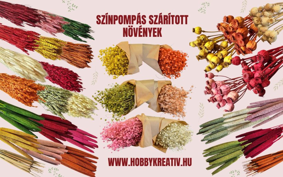 szinpompas-szaritott-novenyek-2025-hobbykreativ
