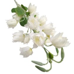 hamvas-selyem-palmaliliom-szal-feher-extra-167400-hobbykreativ