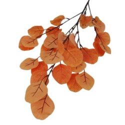 oriasi-eukaliptusz-leveles-diszito-ag-narancs-gd2503283-hobbykreativ