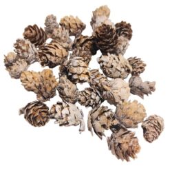 apro-mini-nyitott-toboz-hamvas-hobbykreativ