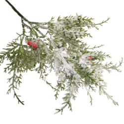 havas-tuja-ag-piros-bogyoval-gd2106193B-hobbykreativ