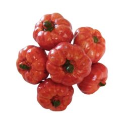 kezmuves-keramia-tok-drotszaron-6-db-hobbykreativ