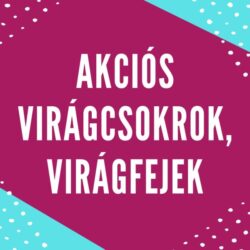 AKCIÓS VIRÁGCSOKROK ÉS VIRÁGFEJEK