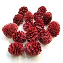 fenyotoboz-kerekded-piros-2025-hobbykreativ