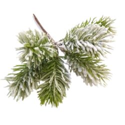 havas-fenyo-agacskas-pick-vt585799-hobbykreativ