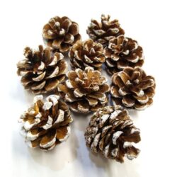 torpefenyo-toboz-havas-60-65-gr-2025-hobbykreativ