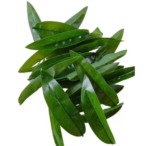 selyem-tulipan-level