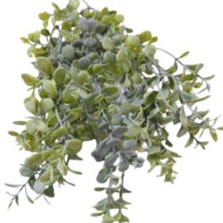 buxus-muanyag-zold-diszito-hamvas-zold