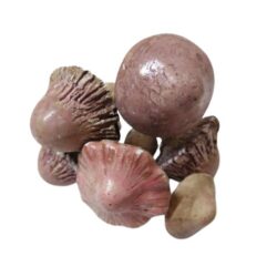 kezmuves-keramia-gomba-rozsaszin