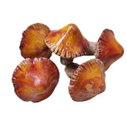 kezmuves-keramia-gomba-rozsdabarna