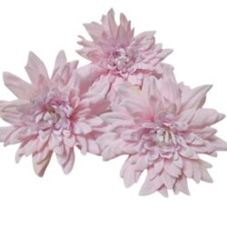 selyem-kaktusz-dalia-fej-pasztell-rozsaszin