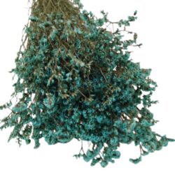 sovirag-limonium-csokor-turkizkek